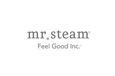 Mr Steam